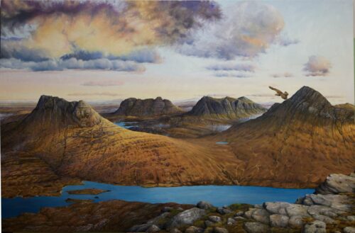 Eagle over Assynt - morning landscape