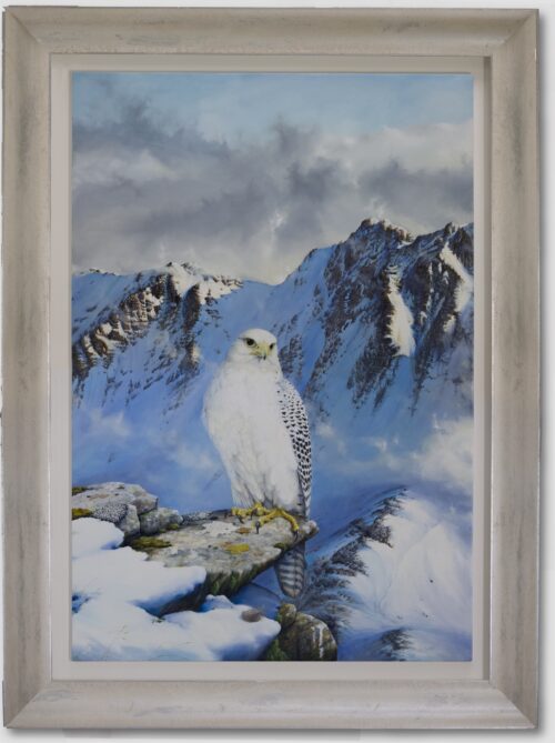 The Snow Queen - Greenland or Gyr Falcon - Image 4