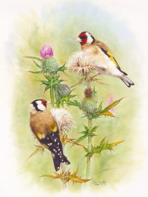 Goldfinches, Greeting Cards - from a watercolour