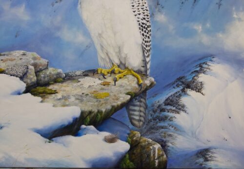 The Snow Queen - Greenland or Gyr Falcon - Image 2
