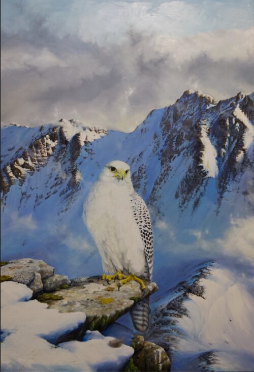 The Snow Queen - Greenland or Gyr Falcon