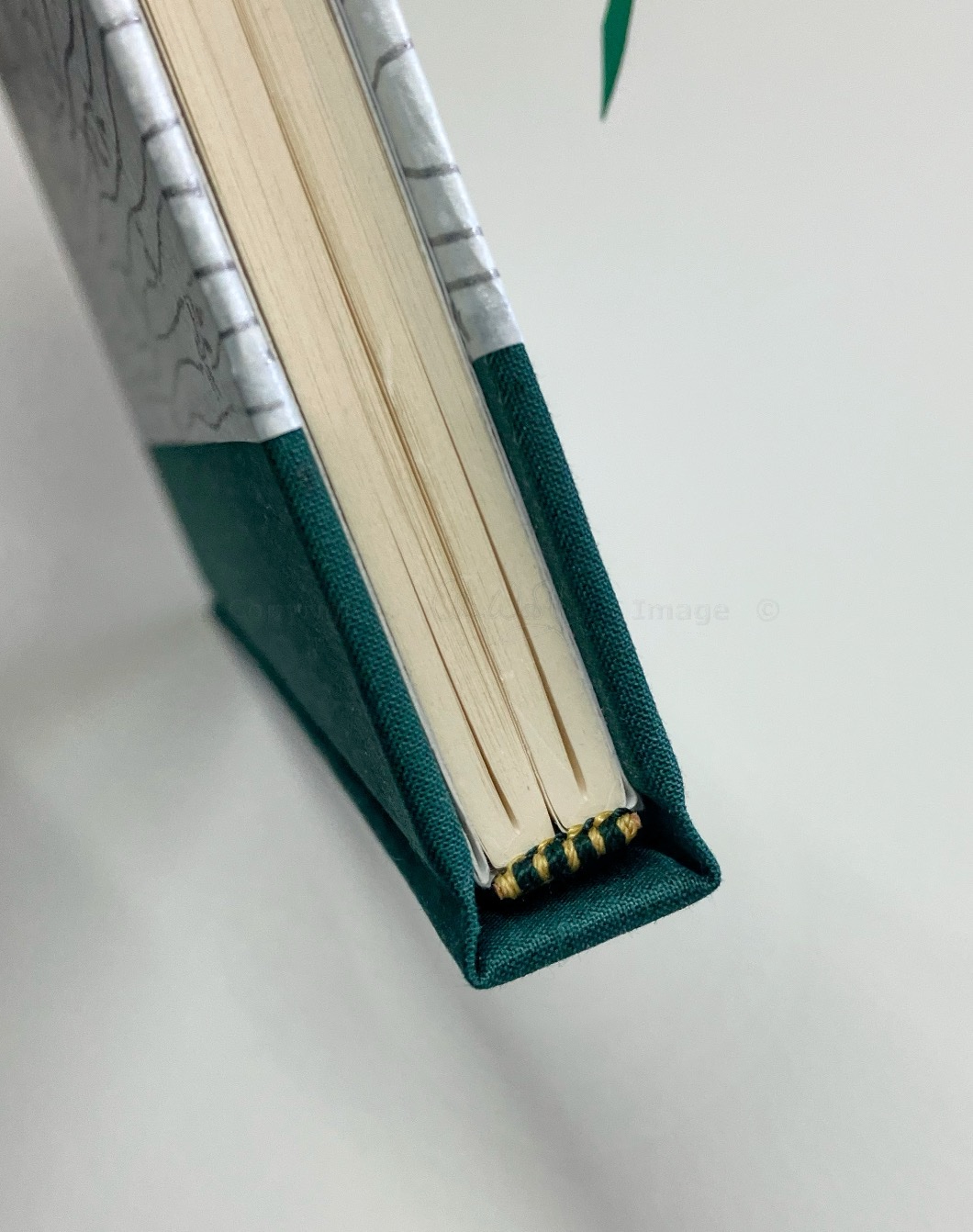 'Silver Bamboo' Journal / Notebook - lined pages - Image 5