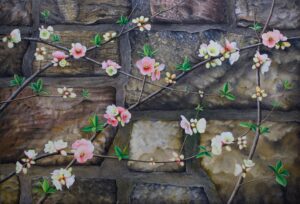 'Japonica' - blossoms on stone wall